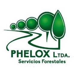phelox